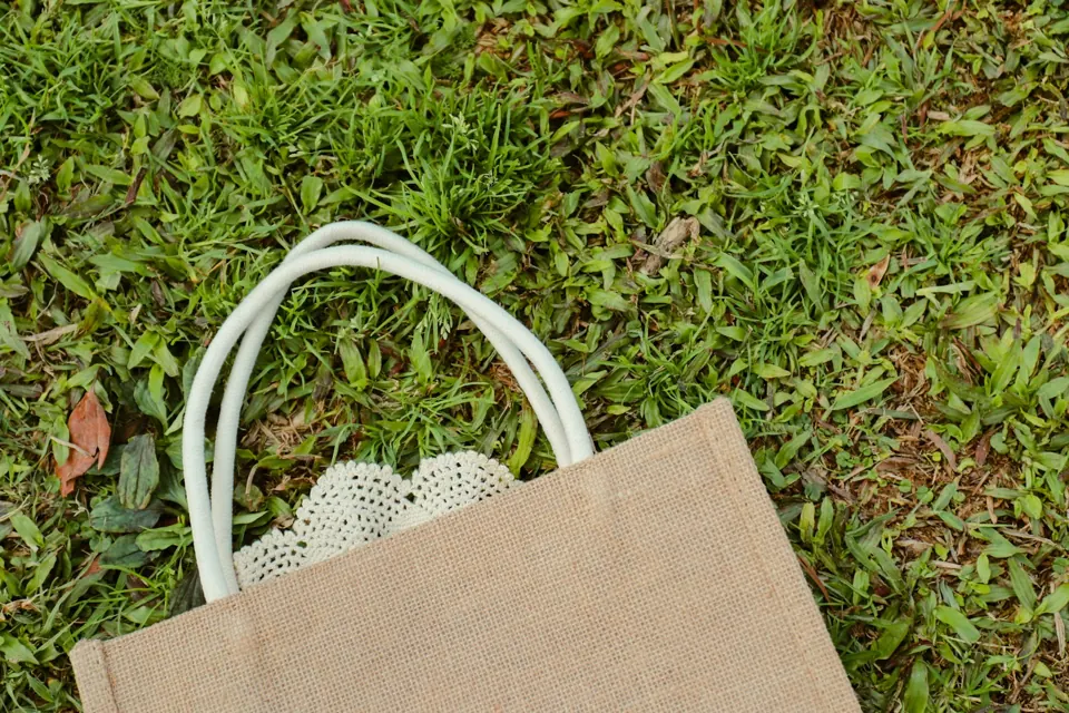 A brown bag on green grass