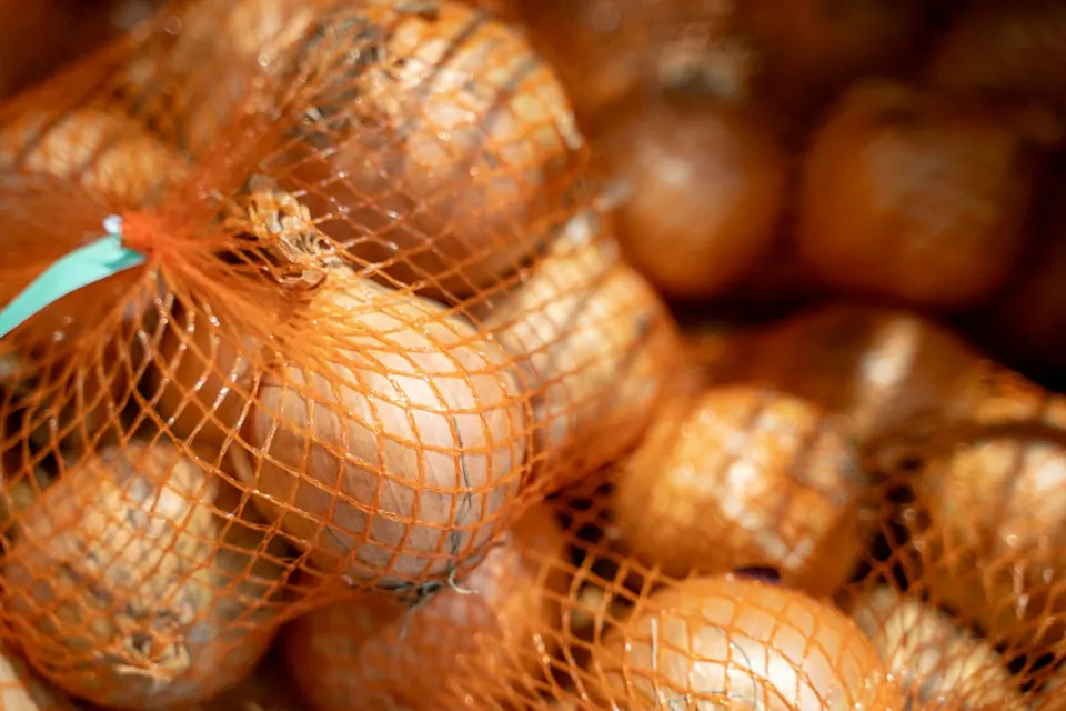 Onions in netting bags